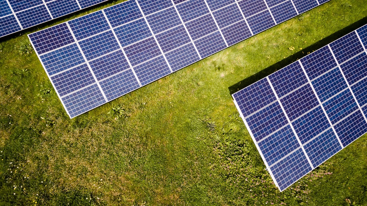 Panneaux solaires installés au sol dans une clairière